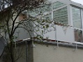 CIMG0611