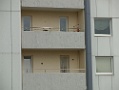CIMG7893
