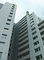 CIMG7894