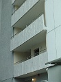 CIMG7898