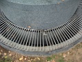CIMG6468